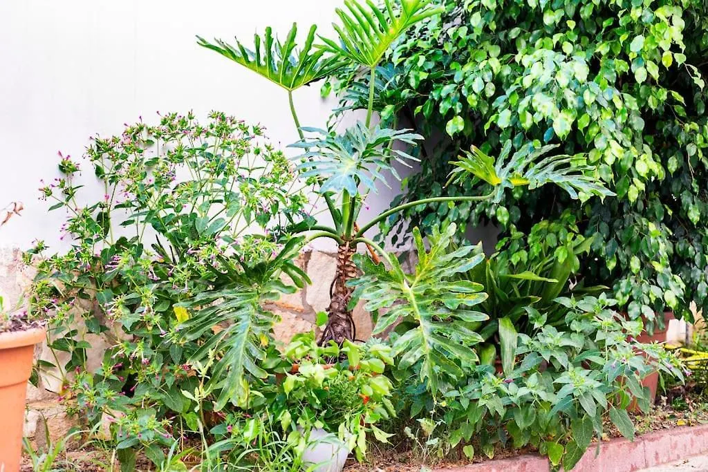 Apartman Da Mari Casa Vacanza Cagliari